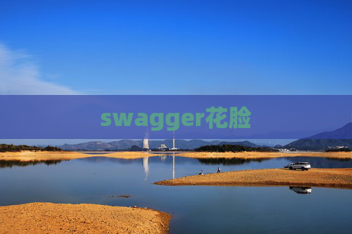 swagger花脸 swagger花脸